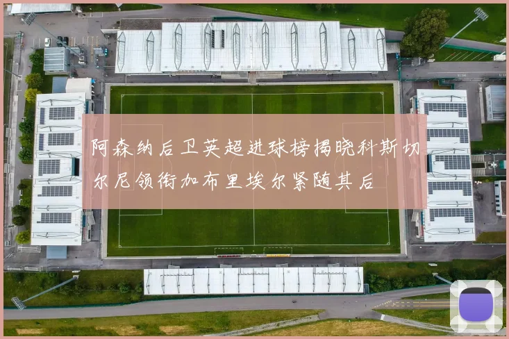 阿森纳后卫英超进球榜揭晓科斯切尔尼领衔加布里埃尔紧随其后